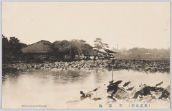 (東京名所) 不忍池 SHINOBAZU-POND / (Famous Views of Tokyo) Shinobazu Pond image