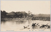 (東京名所)　不忍池　SHINOBAZU－POND/(Famous Views of Tokyo) Shinobazu Pond image