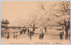 (東京名所)　上野公園の櫻花　CHERRY　BLOSSOMS　AT　UHENO　PARK./(Famous Views of Tokyo) Cherry Blossoms in Ueno Park image