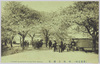 (東京名所)向嶋乃櫻花 CHERRY BLOSSOMS ALONG THE SUMIDA,/(Famous Views of Tokyo) Cherry Blossoms of Mukojima image