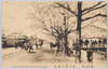 (東京名所)江戸川の櫻花　CHERRY　BLOSSOMS　ALONG　THE　EDOGAWA./(Famous Views of Tokyo) Cherry Blossoms along the Edogawa River image