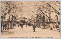 (東京名所) 九段靖國神社の櫻花 CHERRY BLOSSOMS AT YASUKUNI SHRINE. / (Famous Views of Tokyo) Cherry Blossoms in the Yasukuni Shrine, Kudan image