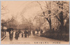 (東京名所)　上野公園の櫻花　CHERRY　BLOSSOMS　AT　UHENO　PARK./(Famous Views of Tokyo) Cherry Blossoms in Ueno Park image