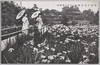 堀切の花菖蒲園(大東京葛飾区)/Iris Garden in Horikiri (Katsushikaku, Great Tokyo) image
