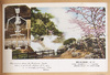 別府　八幡地獄と鬼の骨骼/Hot Spring Pond in Beppu: Hachiman Jigoku (Hell) and Demon's Skeleton image