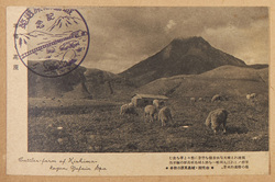 由布院・城島高原の牧羊 / Sheep-Breeding on the Kijima Plateau, Yufuin image