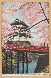 (古城と桜花)国宝弘前城天主閣附近の桜花 / (Old Castle and Cherry Blossoms) Cherry Blossoms near the Hirosaki Castle Main Tower (National Treasure) image