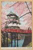 (古城と桜花)国宝弘前城天主閣附近の桜花/(Old Castle and Cherry Blossoms) Cherry Blossoms near the Hirosaki Castle Main Tower (National Treasure) image