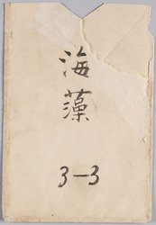 絵葉書 袋 海藻 / Envelope for Picture Postcards, Seaweed image