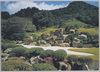 座敷より望んだ庭園/Garden Viewed from a Japanese-Style Room image