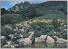 庭園の一部/Partial View of the Garden image