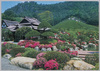 庭園の一部/Partial View of the Garden image