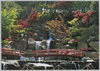 庭園の一部/Partial View of the Garden image