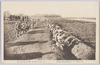 新治付近東軍歩兵射撃/Target Practice of the Eastern Unit Infantrymen near Niihari image