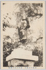 川崎大師境内　遍路大師の銅像/Kawasaki Daishi Temple: Bronze Statue of Henro Daishi in the Precincts image
