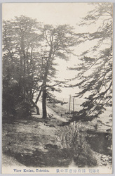 東海道国府津唐沢の景 / Tōkaidō Road, View of Karasawa, Kōzu image