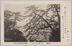 勅題 海辺の松 (国府津唐沢の景) / Subject of the New Year's Imperial Poetry Contest: Pine Trees on the Coast (View of Karasawa, Kōzu) image