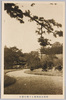 明石公園前面より櫓を望む/View of the Turret from the Front Part of Akashi Park image