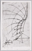 翼の構造　素描/Structure of a Wing, Sketch image