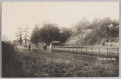 陸軍士官学校内馬場 / Riding Ground in the Military Academy image