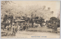 (東京百景)靖国神社境内桜花 / (One Hundred Views of Tokyo) Cherry Blossoms in the Yasukuni Shrine Precincts image
