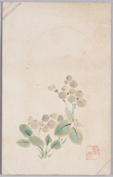 花 / Flowers image