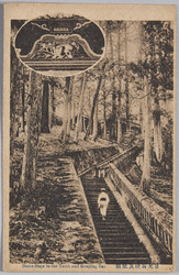 日光東照宮 / Nikkō Tōshōgū Shrine image