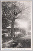 亀ヶ池八幡社/Kamegaike Hachimangū Shrine image