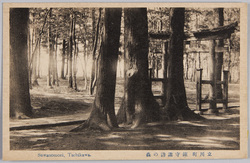 立川町 / Tachikawamachi image