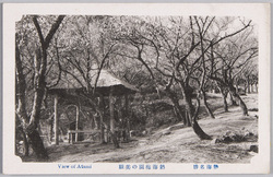 熱海名勝 熱海梅園の美観 / Scenic Beauty of Atami: Beautiful Sight of the Atami Plum Garden image