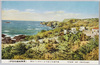 県営バンガローより見たる海岸美/Coastal Beauty Seen From the Prefectural Bungalow image