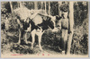 山帰り/Returning From the Mountain image