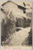 島のとある小径/A Small Path on the Island image