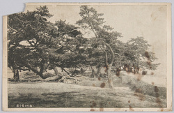 (播州)舞子浜 / (Banshū) Maiko Beach image