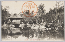 尾張　津嶋神社　神苑 / Tsushima Shrine Garden, Owari image