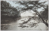 千鳥ヶ渕付近の春色/Spring Scenery Near Chidorigafuchi image