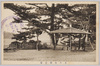 常磐公園/Tokiwa Park image