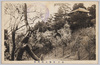 常磐公園南崖/Nangai at Tokiwa Park image