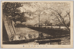 相州小田原城外ノ桜 / Cherry Blossoms Outside Odawara Castle, Sōshū image