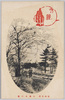小涌谷の桜/Cherry Blossoms in Kowakudani image
