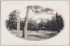 沼津公園　千本浜の風光/Scenery of Sembon Beach, Numazu Park image