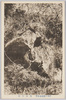 奇岩牛石/The Unusually-shaped Ushiishi Rock image