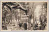 東条村掛松寺内日蓮上人袈裟掛松/Nichiren Shōnin Kesagake no Matsu in Keishōji, Tōjōmura image