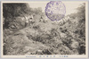 (相模大山)　頂上御刈廻/(Mt. Ōyama, Sagami) Okarimawari at the Summit image