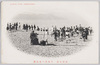 沼津公園　千本浜の地引網/Seine Fishing at Sembon Beach, Numazu Park image