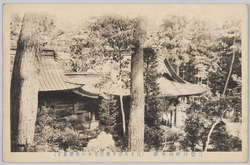宝登山神社御本殿(長とろ駅下車松並木参道五丁) / Main Hall of Hodosan Shrine (5 Chō-long Pine Avenue Along the Approach to the Shrine After Alighting at Nagatoro Station) image