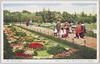 日比谷公園の美しい花園/The Beautiful Flower Garden in Hibiya Park image