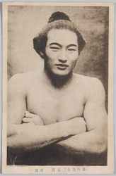 幕内力士 / Makuuchi Rikishi image