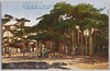 唐崎の松/The Pine Tree at Karasaki image