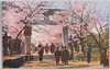 上野東照宮大鳥居の桜/Cherry Blossoms at the Ōtorii of Ueno Tōshōgū Shrine image